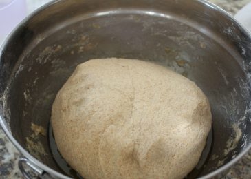 Carefully shape into 2 loaves